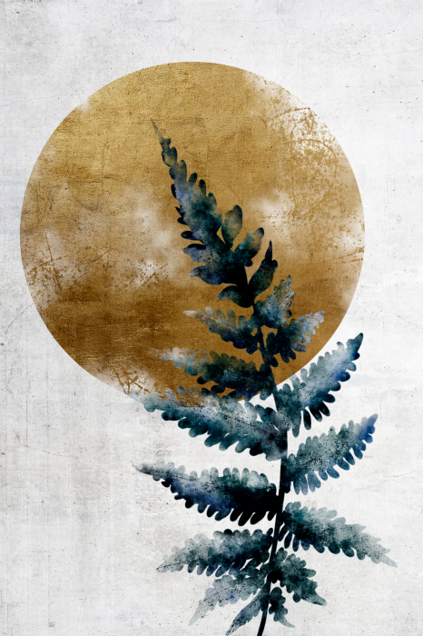 Poster Een tere varen in het zonlicht