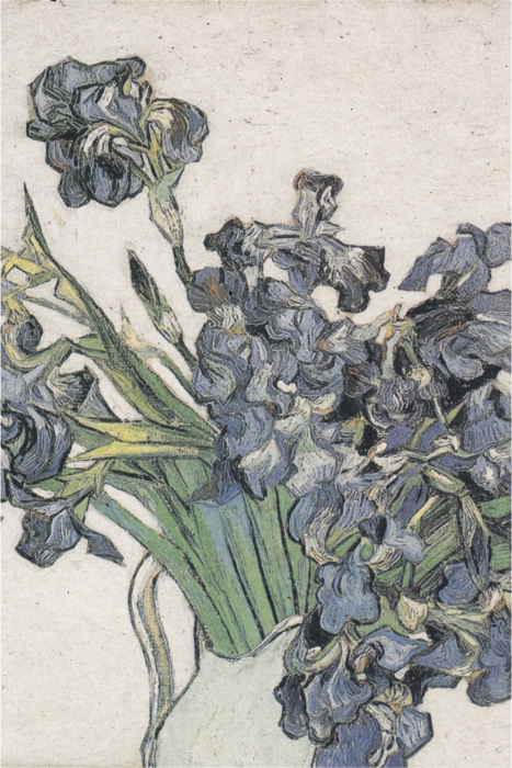 Poster Een delicaat botanisch schilderij met irissen