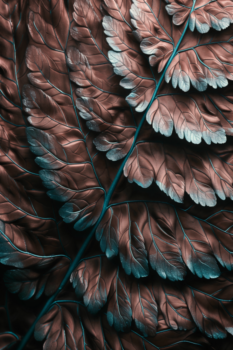 Poster Gestructureerd koperen varenblad