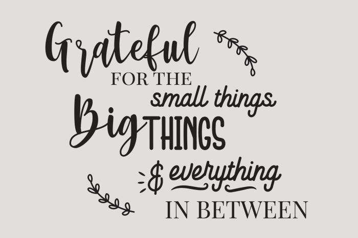 Poster Typografie over het waarderen van alles