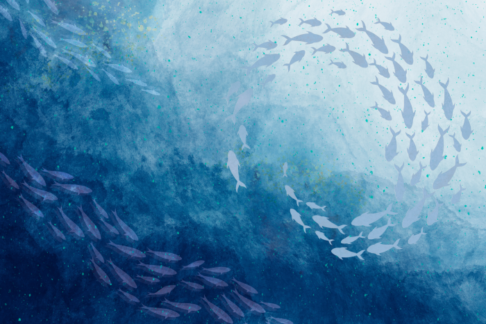 Poster Scholen vissen in de blauwe diepten