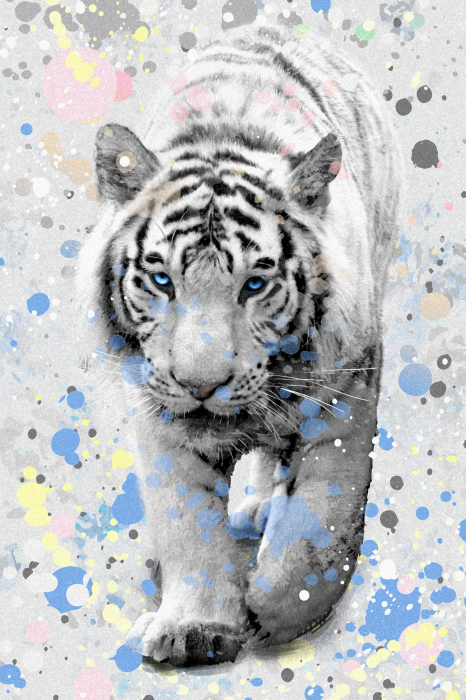 Poster Een witte tijger tegen een achtergrond van kleurrijke vlekken