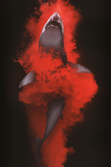 Poster Abstracte haai in rood