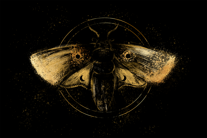 Poster Een gouden mot in een donkere compositie