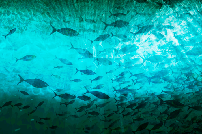 Poster Vissen in een lichtgevend onderwaterframe