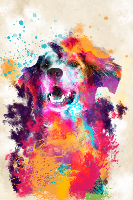 Poster Kleurrijke aquarelillustratie van een hond