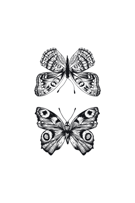 Poster Een paar vlinders in een zwart-witillustratie