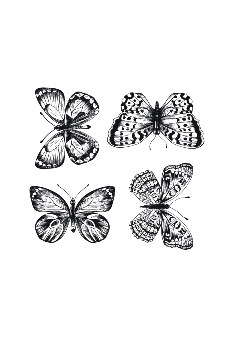 Poster Een tekening van vier vlinders in zwart-wit