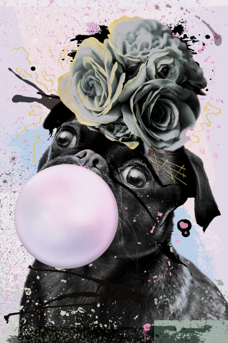 Poster Mopshond met kauwgomroze en grijze rozen