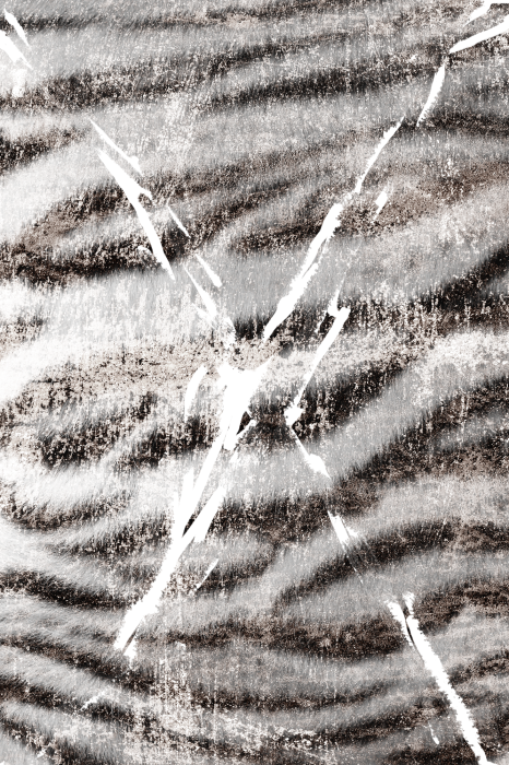 Poster Dierenmotief met witte tijgerbont