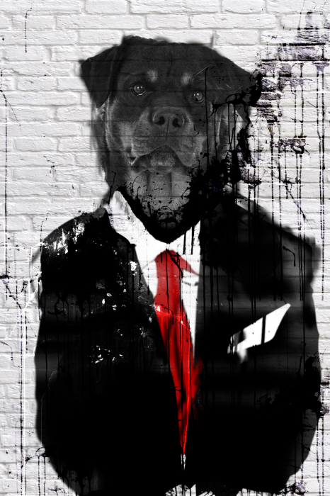 Poster Portret van een Rottweiler in een elegant pak