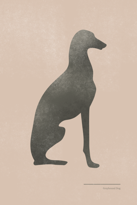 Poster Een eenvoudige afbeelding van een windhond in zittende positie