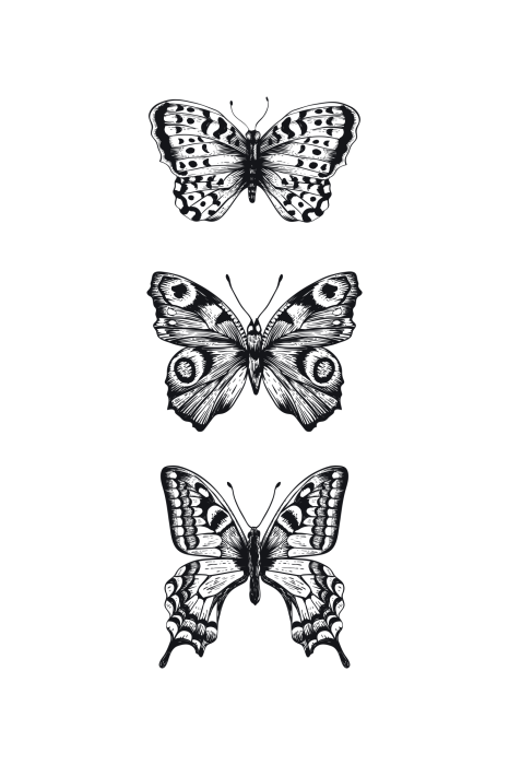 Poster Drie zwart-witte vlinders in een verticale opstelling
