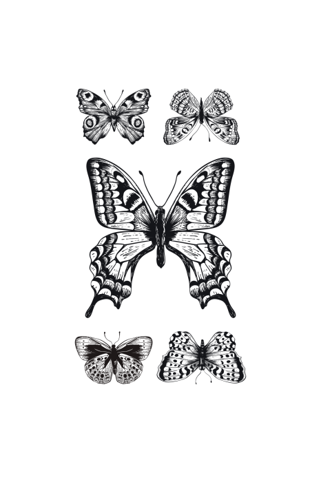 Poster Een compositie met vijf vlinders in zwart-wit