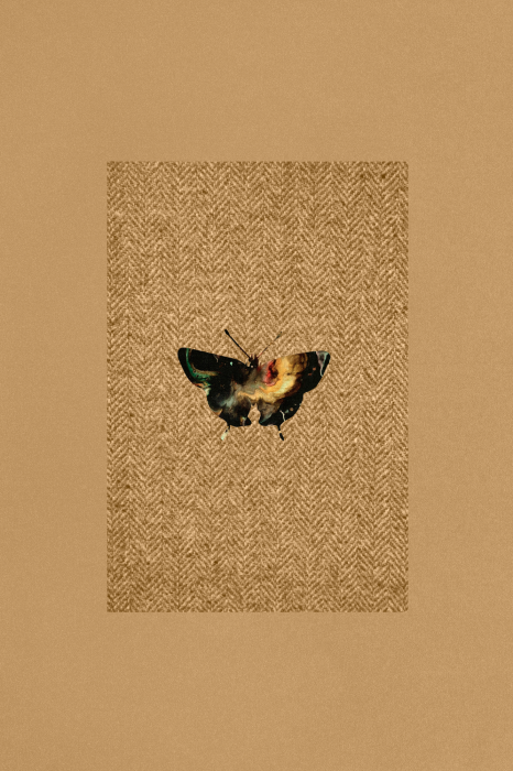 Poster Donkere vlinder op een gestructureerde achtergrond