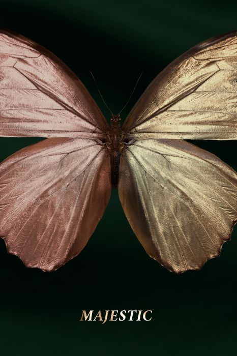 Poster Een roze en gouden vlinder met het woord Majestic erop geschreven