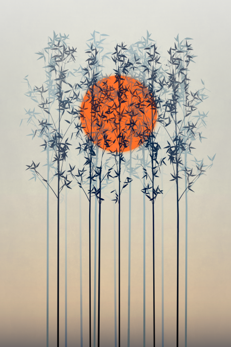 Poster De zon verborgen in de kroon van tere takken