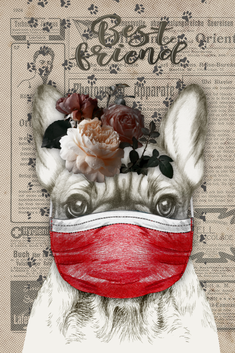 Poster Een hond met een masker en rozen op zijn kop