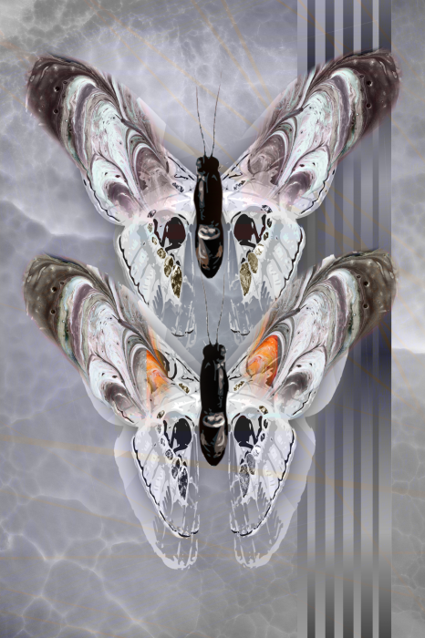 Poster Twee vlinders in een grijze compositie