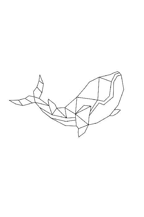 Poster Contour geometrische tekening van een walvis