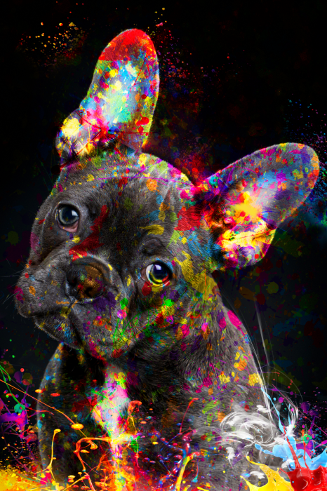 Poster Een expressief portret van een Franse bulldog bedekt met verf.
