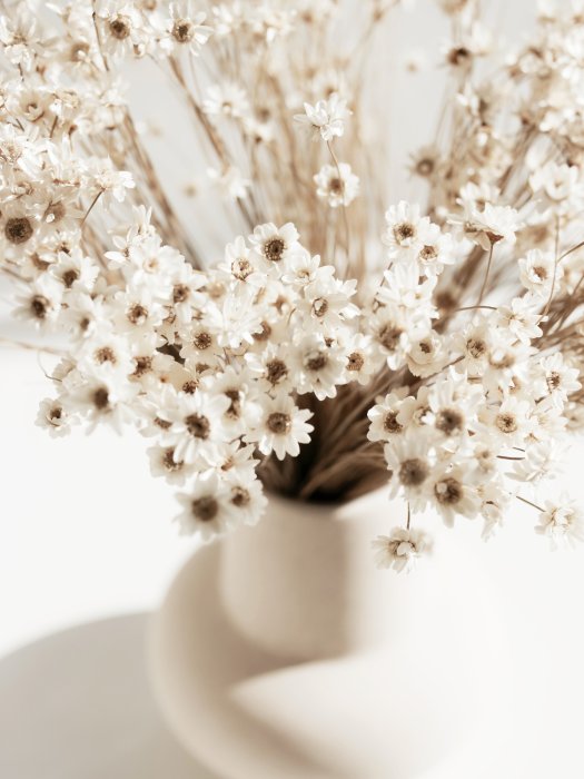 Poster Weiße Blumen in einer Vase im Boho-Stil