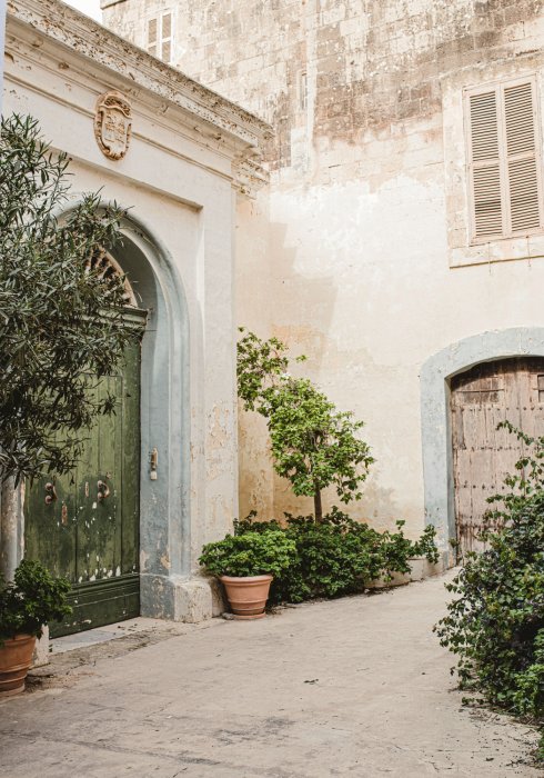 Poster Olivenbaum und historische Architektur