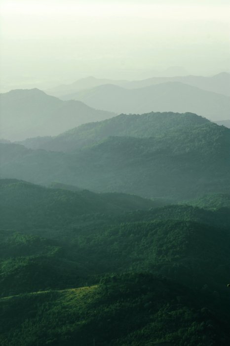 Poster Grüne Berglandschaft am Morgen
