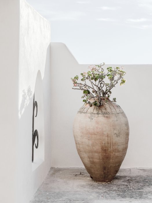 Poster Im Boho-Stil Blumentopf mit Blumen