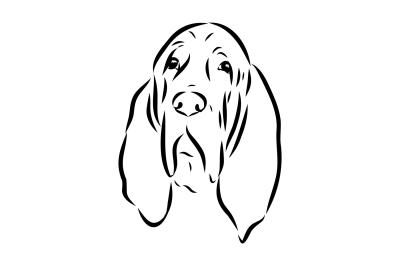 Fotobehang Schets van een hond in zwart-wit