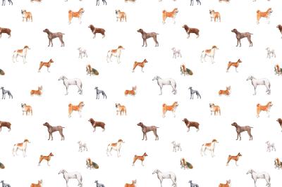 Fotobehang Rashonden in een artistieke uitvoering