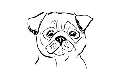 Fotobehang Schetstekening van een mopshond