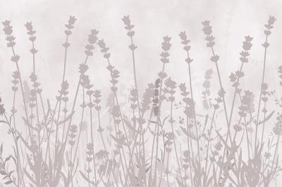 Fotobehang Grijze schaduwen van lavendelbloemen tegen de betonnen achtergrond