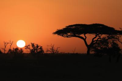 Fotobehang Natuur bij zonsondergang in Afrika