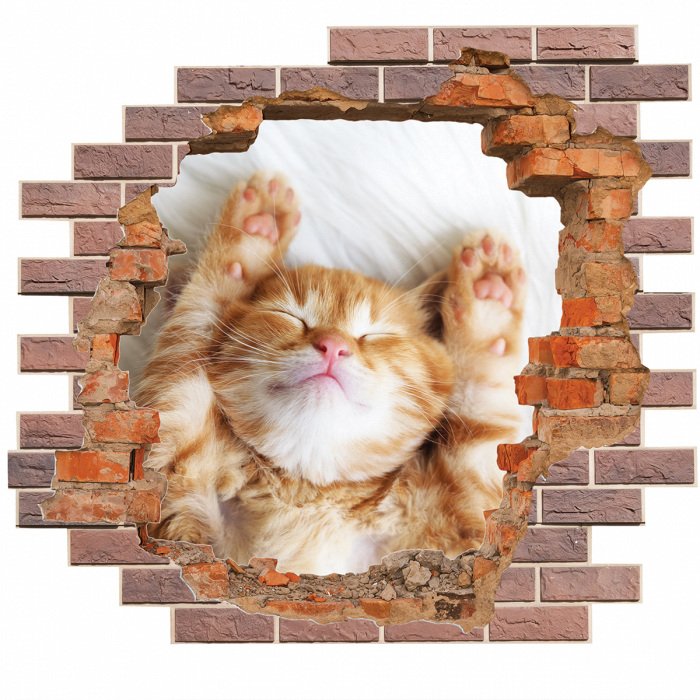 Sticker 3D-gat in de bakstenen muur en een slapend katje