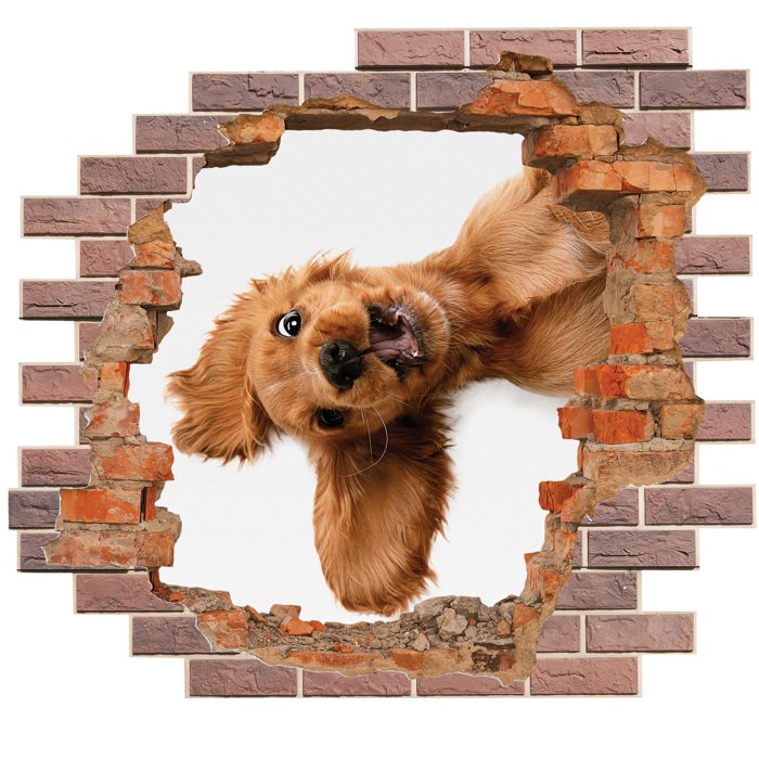 Sticker 3D-gat in een bakstenen muur en een schattige puppy