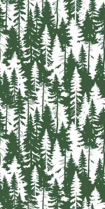 Behang Minimalistisch dicht naaldbos