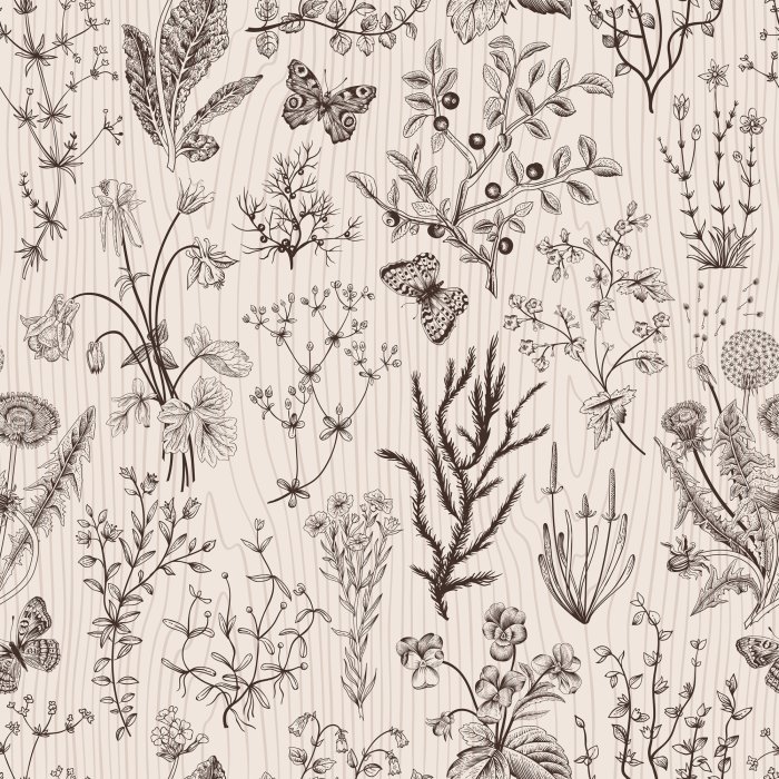 Behang Botanisch patroon van wilde bloemen en kruiden