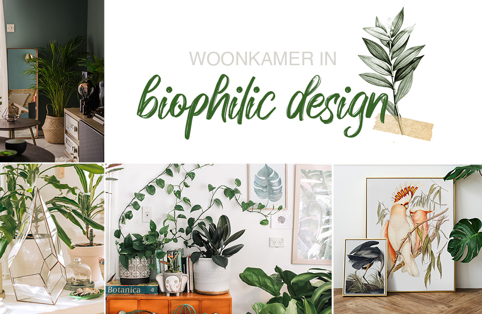 Moodboard woonkamer in biophilic stijl