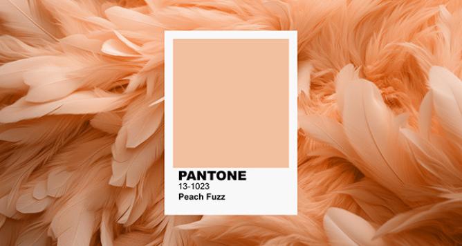 Kleur van het jaar 2024 volgens Pantone – Hoe kunnen we de Peach Fuzz in ons interieur stylen?