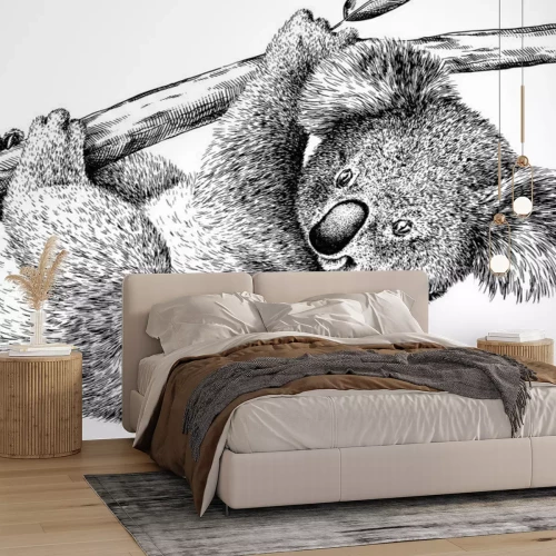 Sticker Zwart-wit tekening van een koalabeer