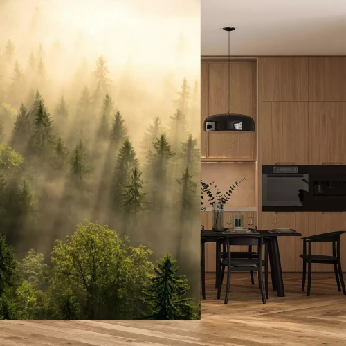 Sticker Bomen in de gouden ochtendmist