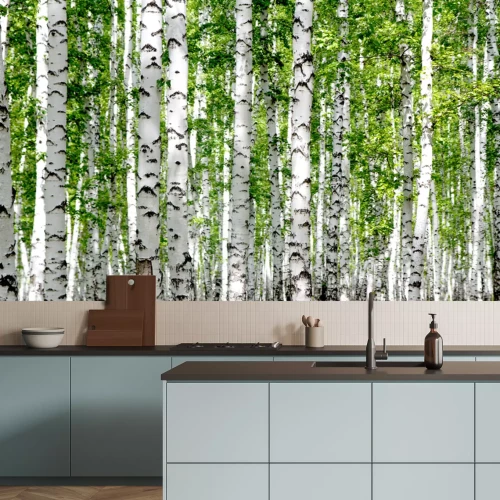 Fotobehang Zomer in het berkenbos