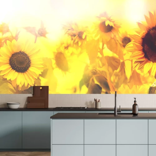 Sticker Zonnebloemen in de zonnestralen