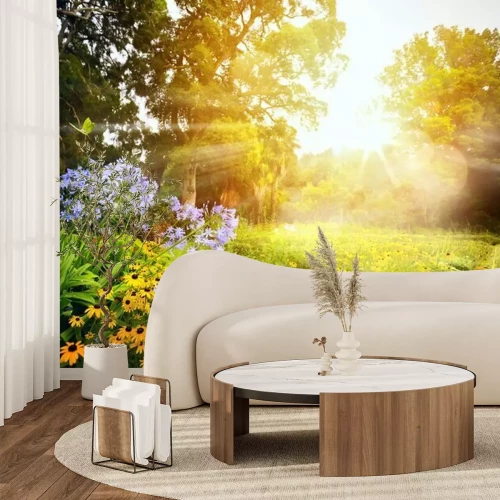 Fotobehang Een wilde bloemenweide in de zon