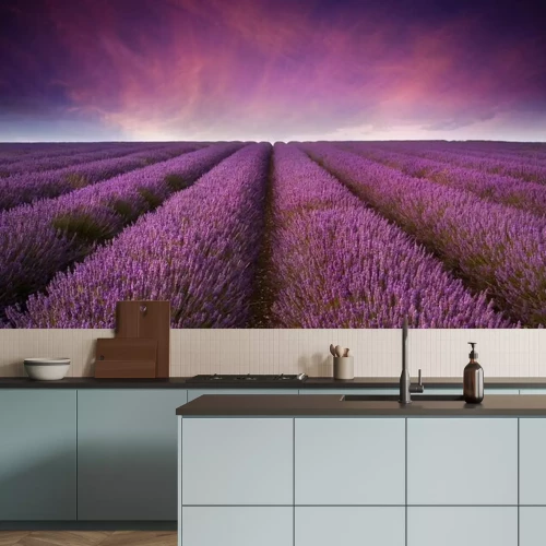 Fotobehang Prachtig lavendelveldlandschap in de zomerzon