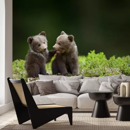 Fotobehang Beren zitten op het mos