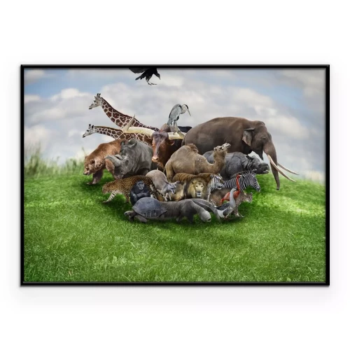 Visualisatie van het product