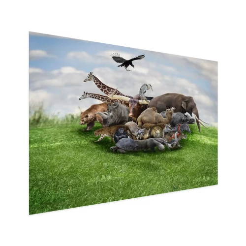 Visualisatie van het product