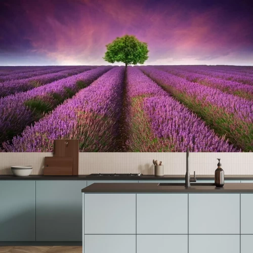 Fotobehang Lavendel en een boom bij zonsondergang